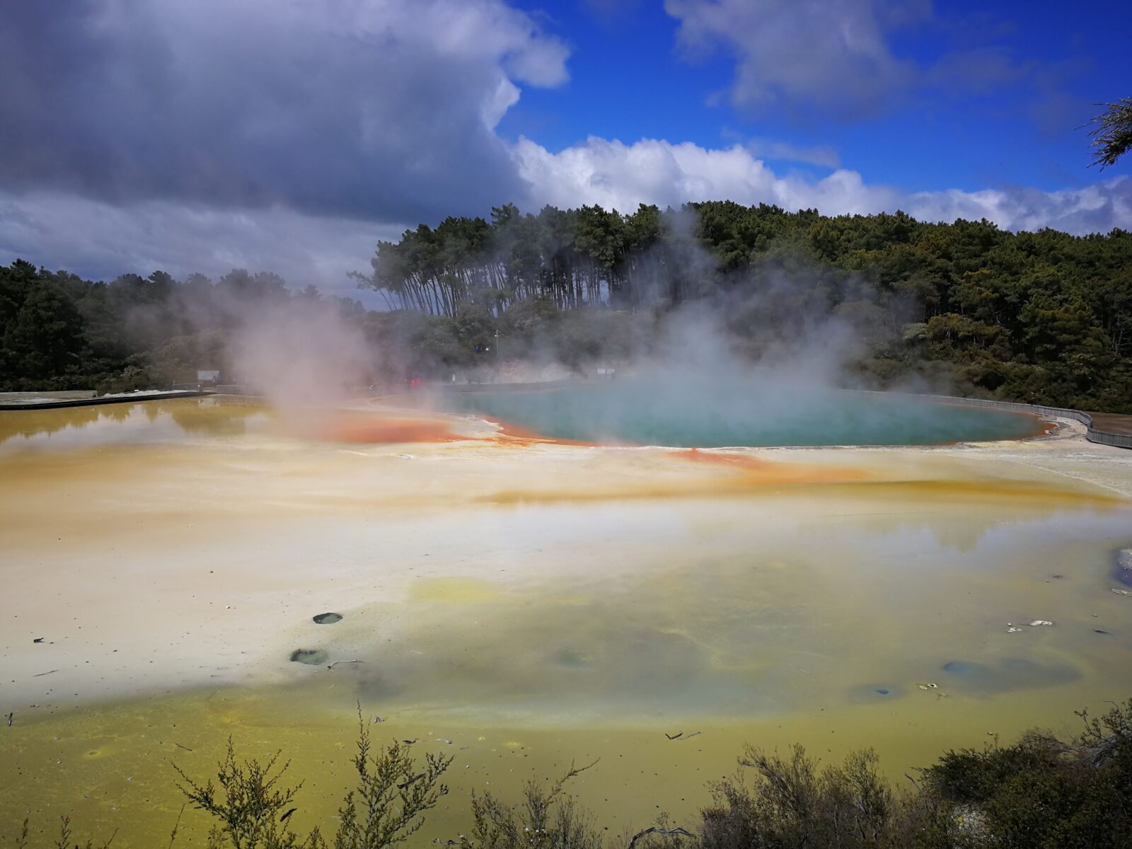 Dampfendes, türkisblaues Thermalbecken mit leuchtend orangen und gelben Mineralrändern im Geothermalgebiet Wai-O-Tapu nahe Rotorua, Neuseeland. Im Hintergrund stehen grüne Nadelbäume unter teils bewölktem blauem Himmel.