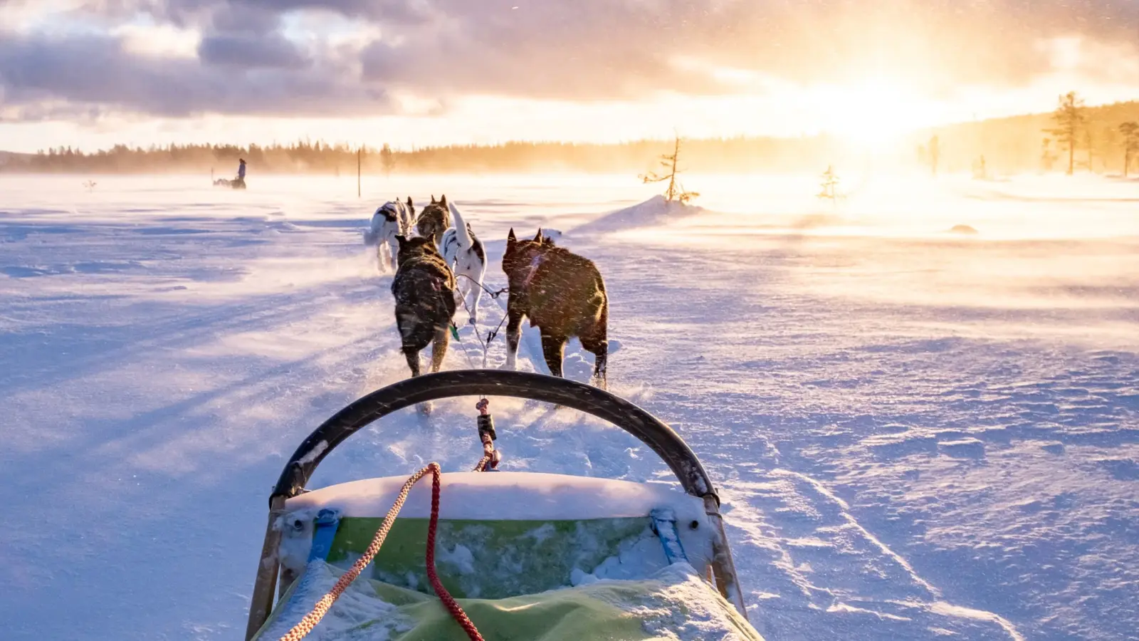Blick aus der Ego-Perspektive eines von Huskys gezogenen Hundeschlitten. Die Huskys laufen durch dichten Schnee, während am rechten hinteren Bildrand die Sonne langsam untergeht und den Schnee in ein warmes Licht taucht. Im Hintergrund ist eine ebene Schneefläche mit dunklen Baumreihen am Horizont unter einem dramatisch bewölkten Himmel zu sehen.