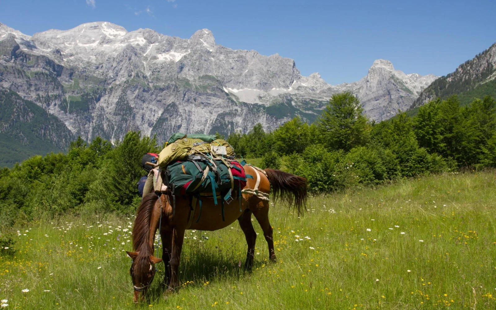 Ihr Hauptgepäck wird getragen (Valbona Pass) oder gefahren