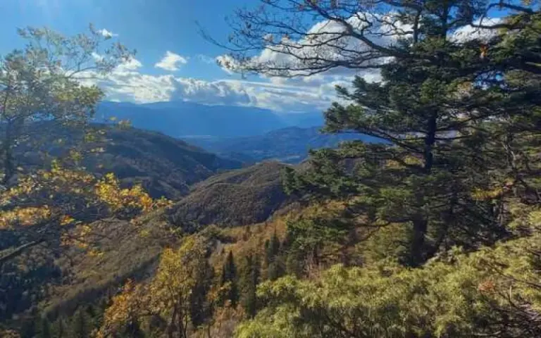 Wanderung durch Tannenwälder im Hotova-Nationalpark