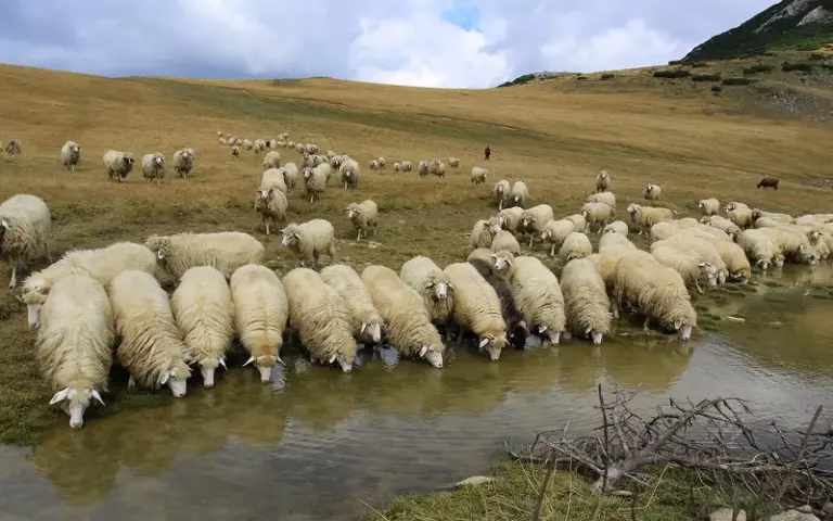 Albanien: Zu den Almen von Doberdol