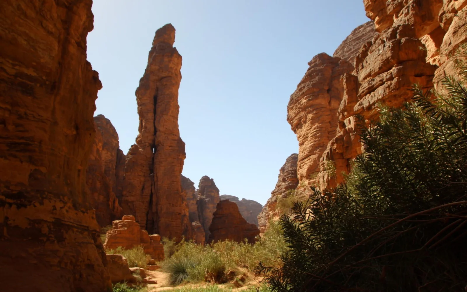 Im grünen Essendilène-Canyon: Wanderung bis zu einem Guelta (Wasserloch).