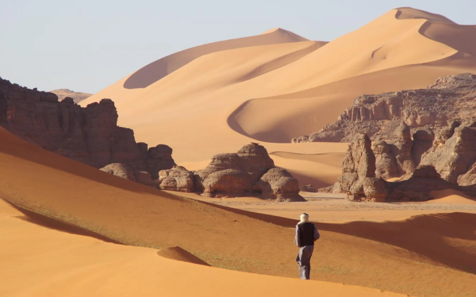 Wanderungen führen auf Dünenkämme und entlang von Dünentälern 