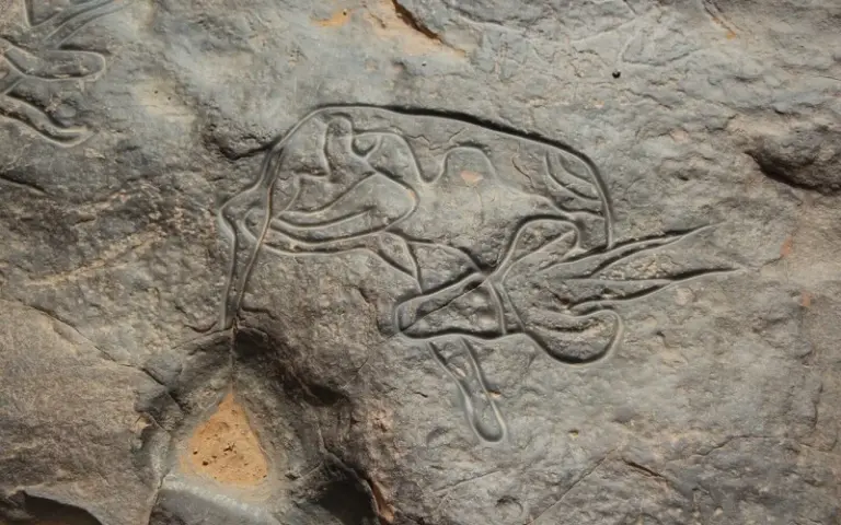 Zu den berühmten Felsgravuren von Dider/Tin Tagrirt und ins Tassili n`Ajjer