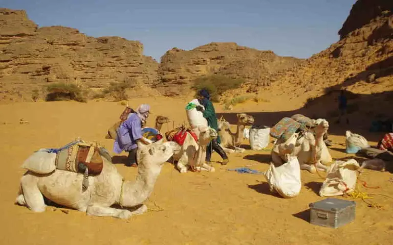 Meharée zu imposanten Felstürmen bei Adayeg