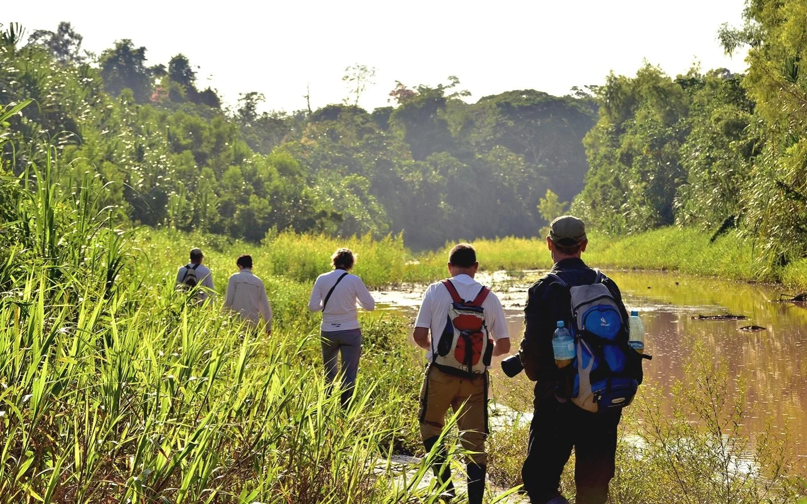 Bei Wanderungen die Wunderwelt des Amazonas Regenwaldes erkunden