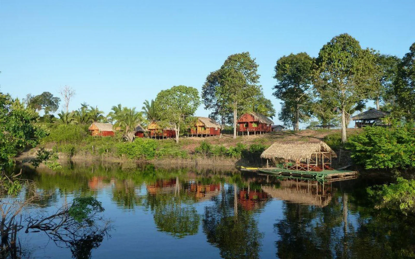 Per Boot geht es ca. 100 km durch den Urwald zu Ihrer Amazonas-Lodge