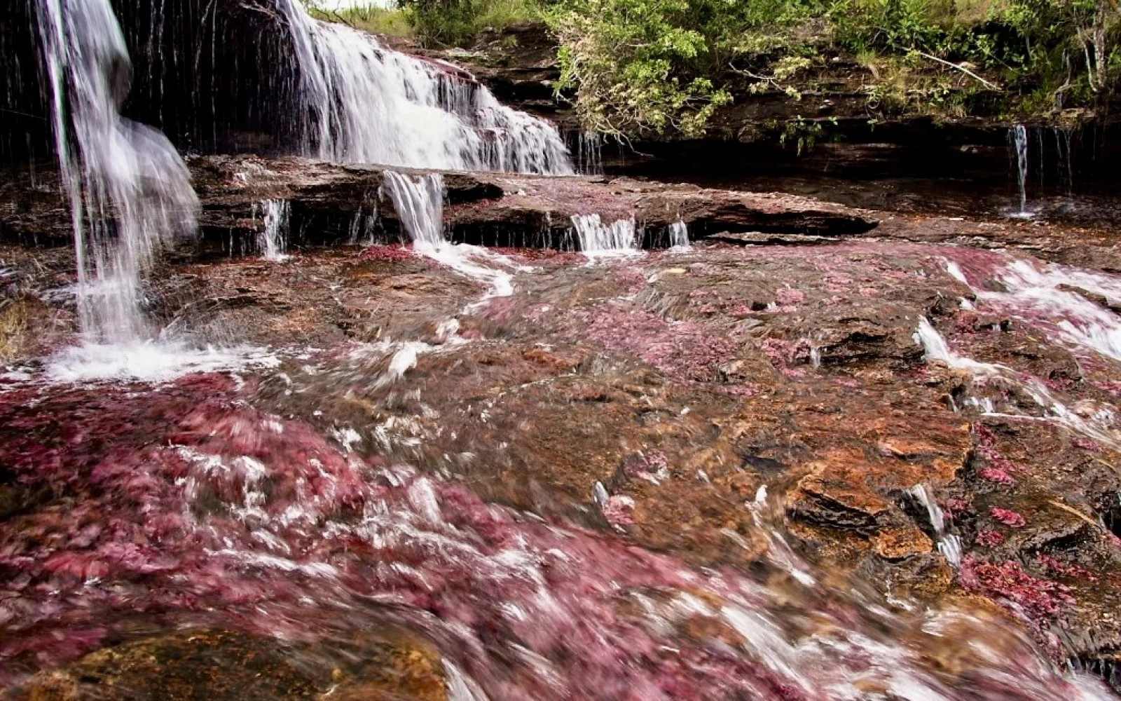 Der schönste Fluss der Welt: Naturwunder Caño Cristales