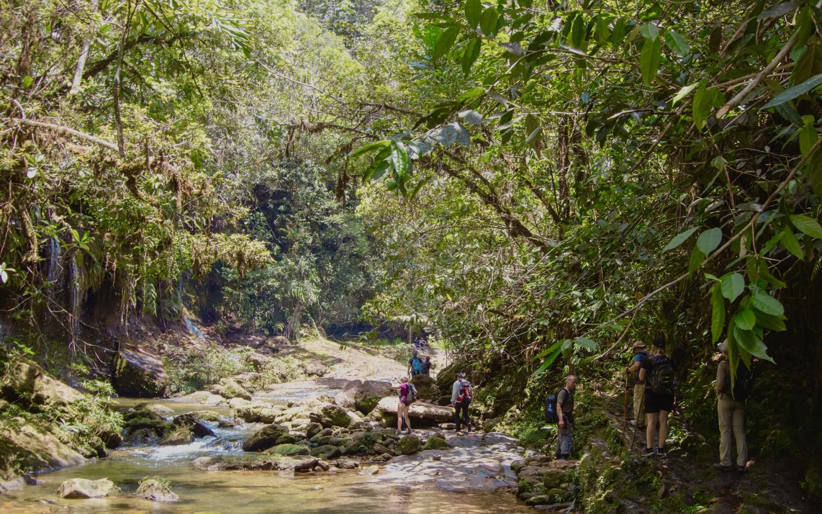 Auf unbekannten Pfaden mitten durch das immergrüne Labyrinth des Amazonas