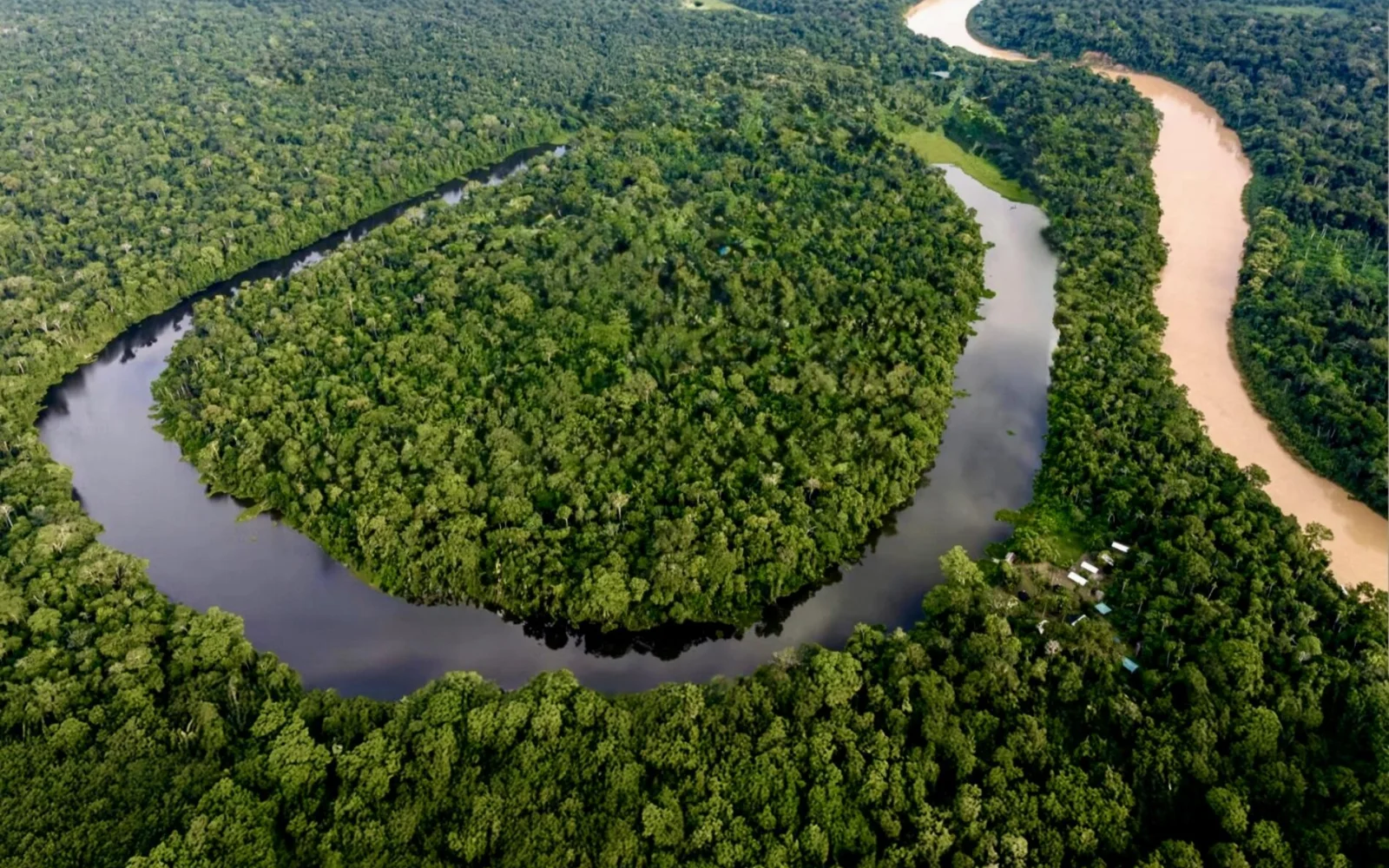 Ihre Urwald-Lodge liegt direkt am Ufer des hufeisenförmigen Sees