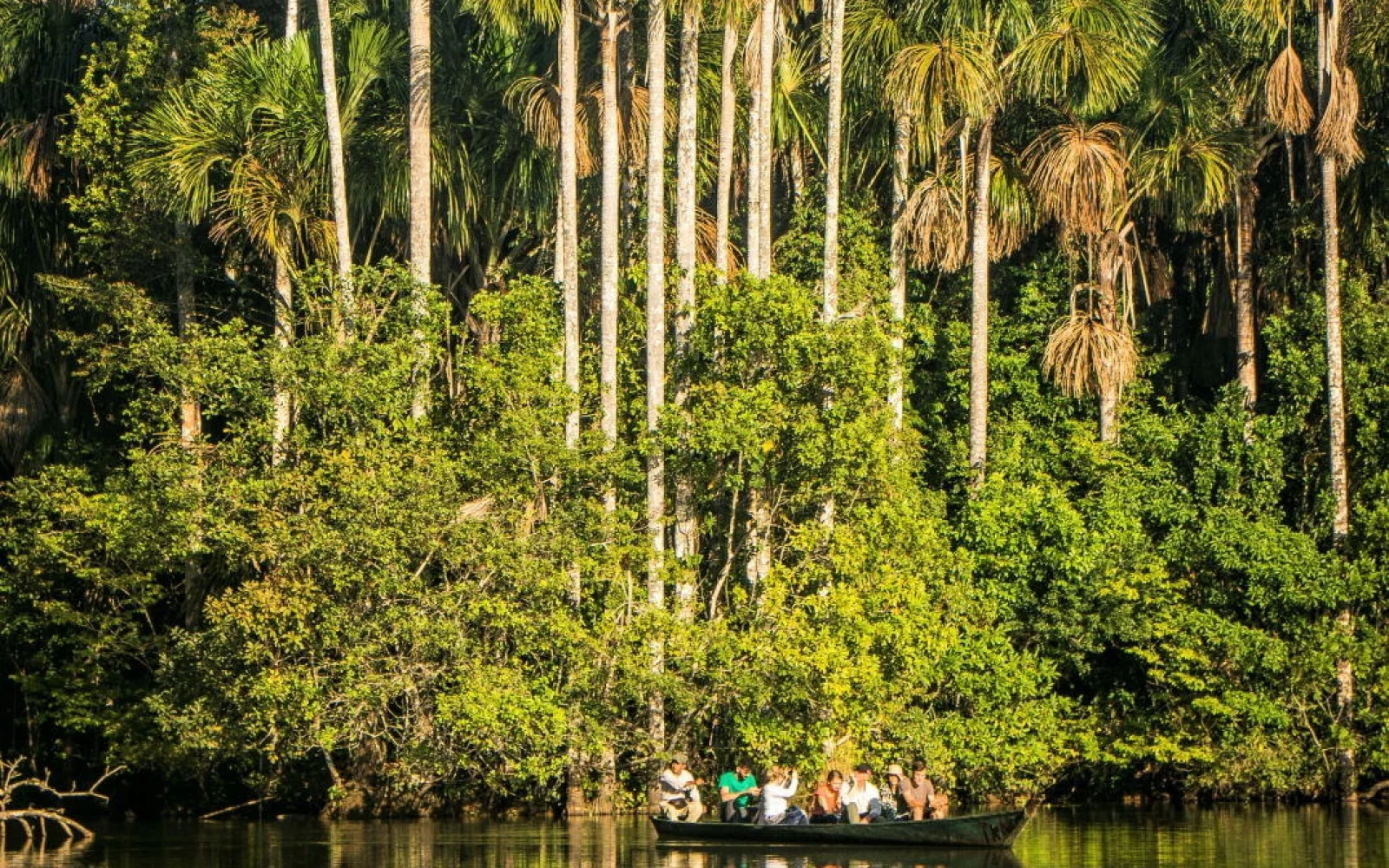 Mit dem Boot die Flüsse des Amazonas-Regenwaldes erkunden