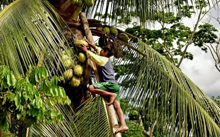 Abenteuerliche Fahrt durch die Llanos de Moxos nach Rurrenabaque
