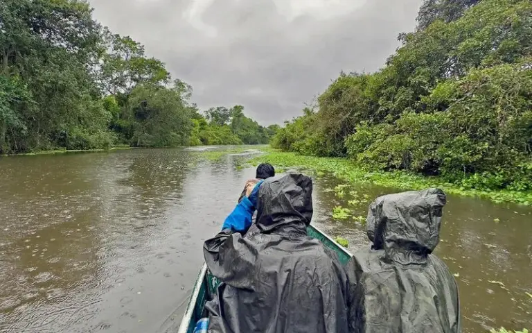 Tierbeobachtung vom Boot in den Pampas del Yacuma