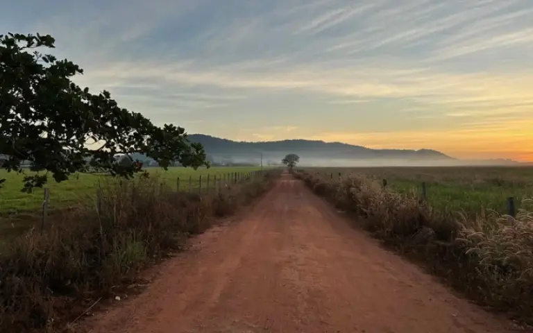 Morgensafai, Fahrt ins Pantanal und erste Nachtsafari 