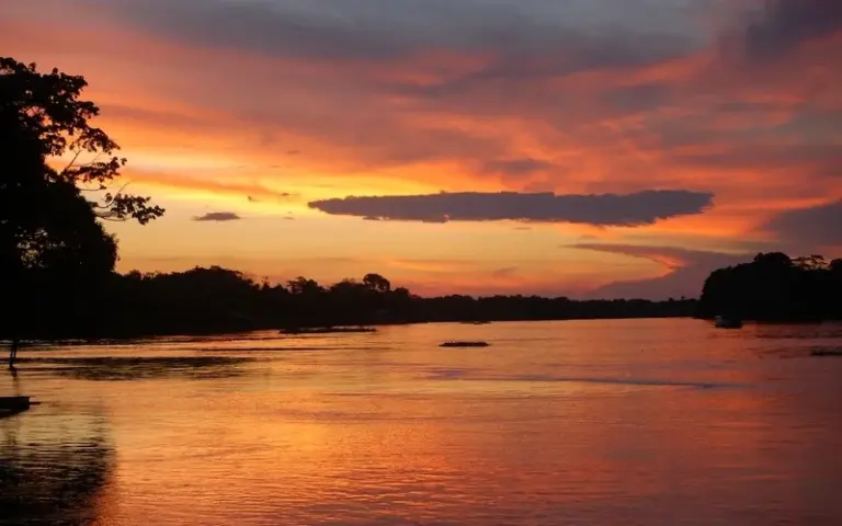  Amazonas-Dschungelwanderung mit Heilpflanzenkunde