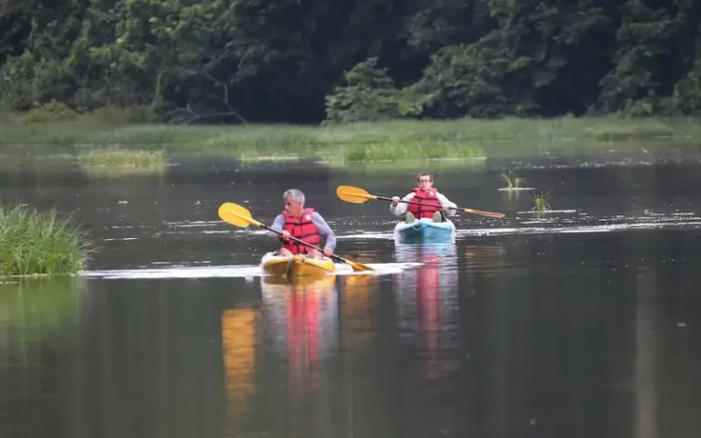 Erkundung des Regenwaldes zu Fuß und mit dem Kanu