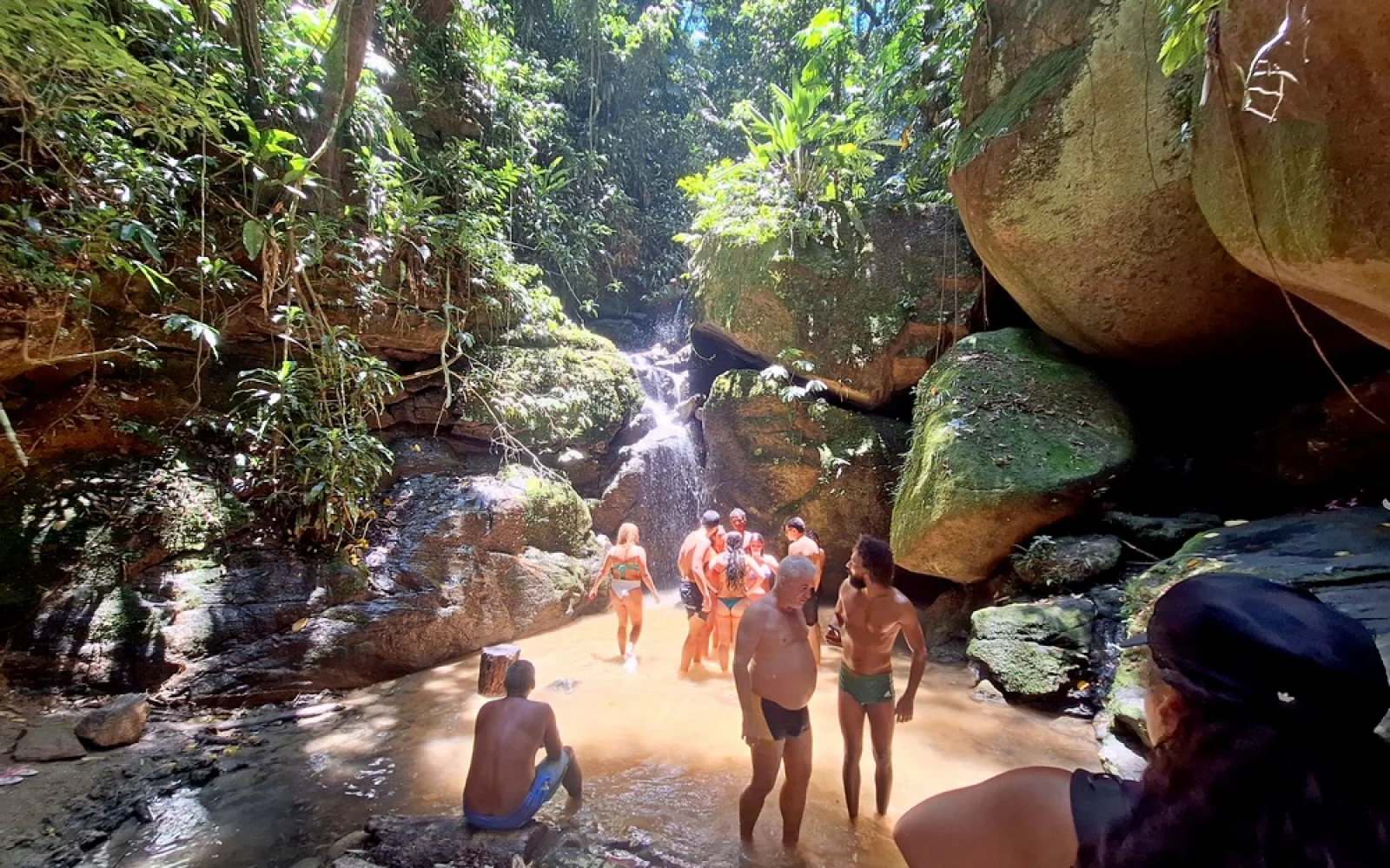 Tijuca Nationalpark - die gürne Lunge von Rio