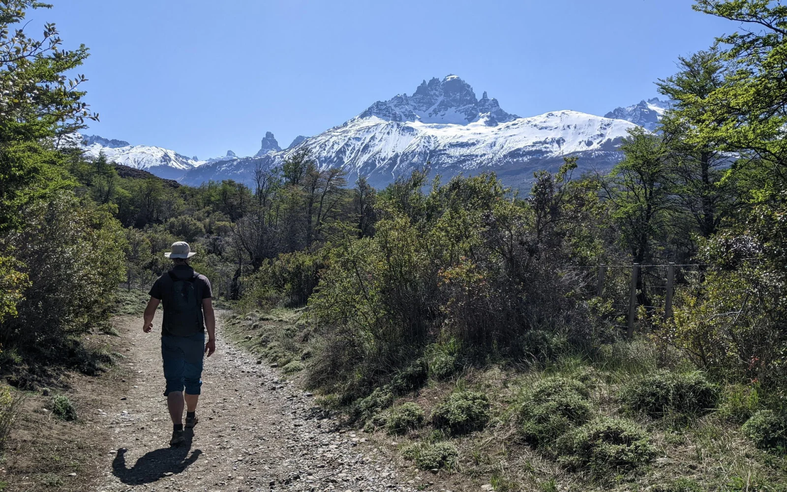 Eine Wanderung führt hinauf zum Gletschersee des Cerro Castillo (1364 m)