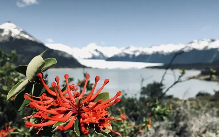 Busfahrt nach El Chaltén und Halbtageswanderung