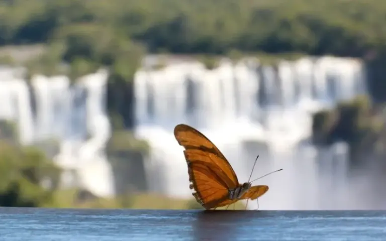 Gigantische Iguazú-Wasserfälle