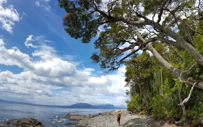 Wanderung entlang der Magellanstraße von Punta Arenas aus