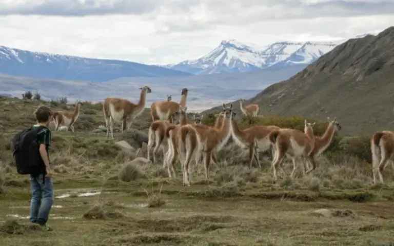 El Chaltén: Wanderung zum Fitz Roy