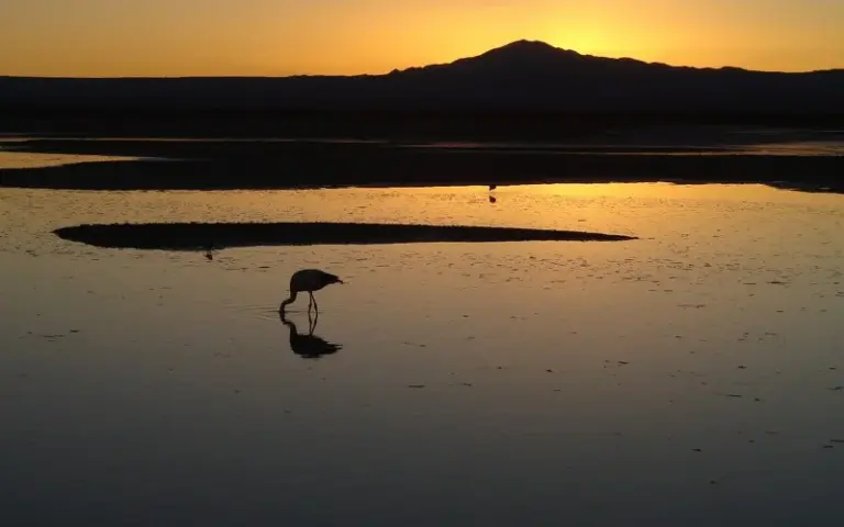 Flug in die trockenste Wüste der Welt: Willkommen in der Atacama