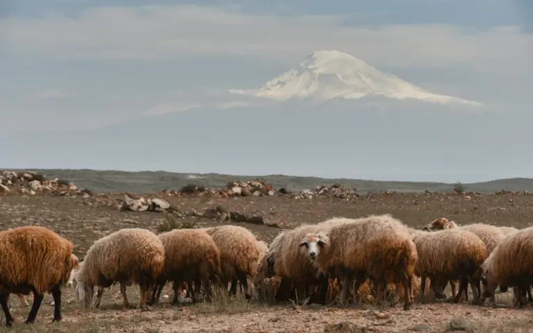 Willkommen in Armenien – Wo Geschichte atmet und Berge erzählen