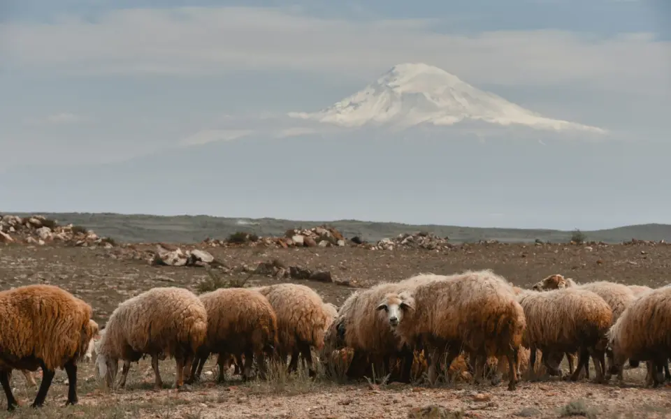Wildes Armenien – Bergpanoramen, Schluchten und Klöster