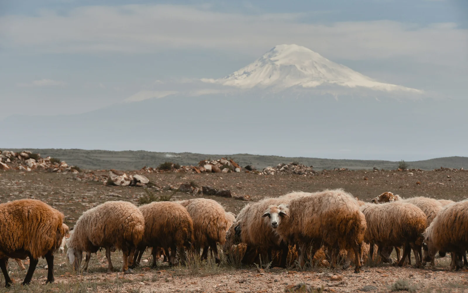 Willkommen in Armenien – Wo Geschichte atmet und Berge erzählen