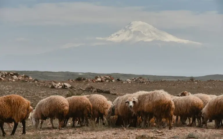 Besteigung des Südgipfel des Aragats