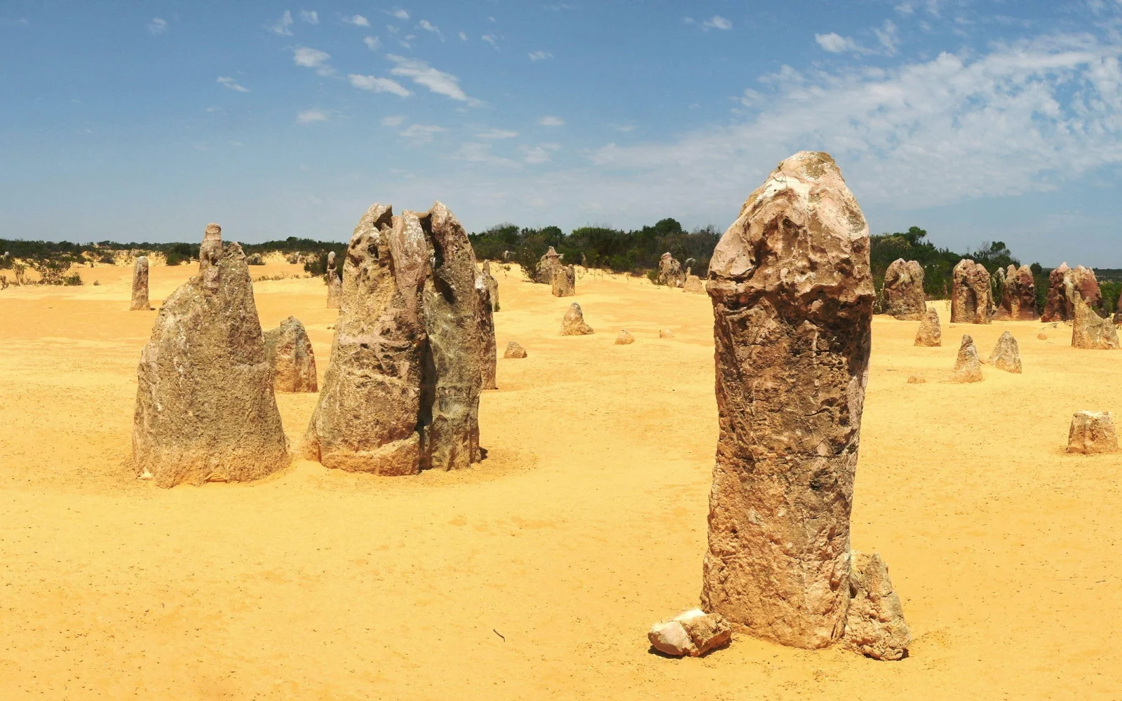 Pinnacles - bizarre Kalksteinformationen im Nambung Nationalpark
