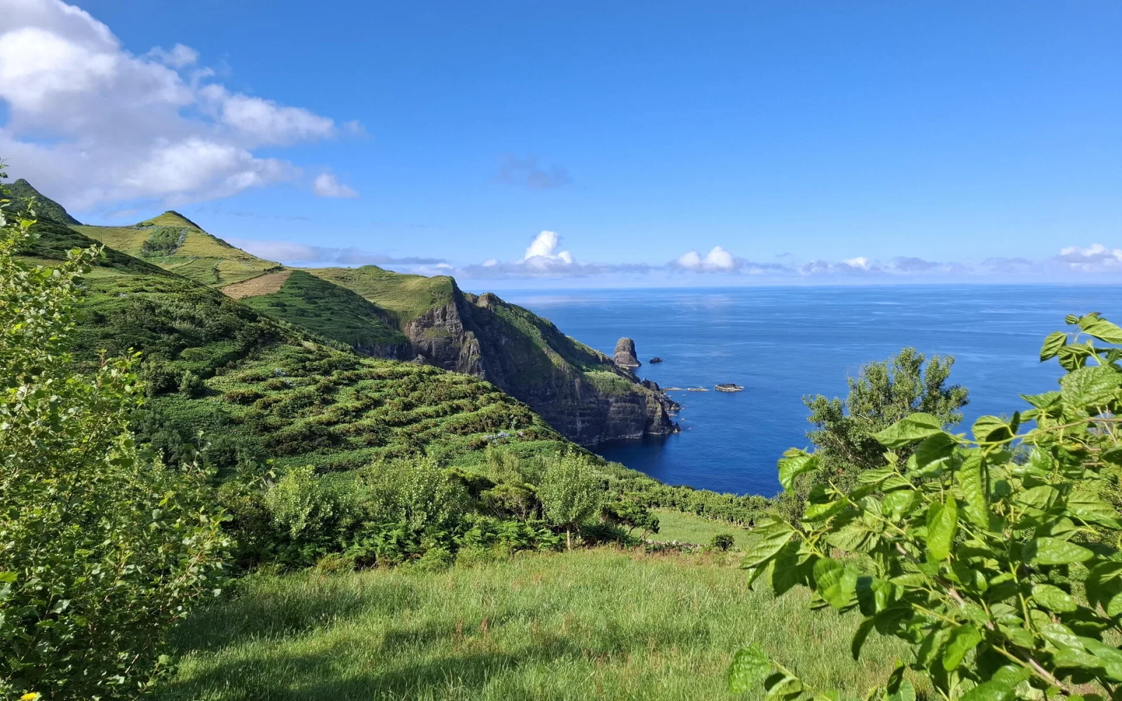 Blick zur Küste nach Lajedo auf Flores