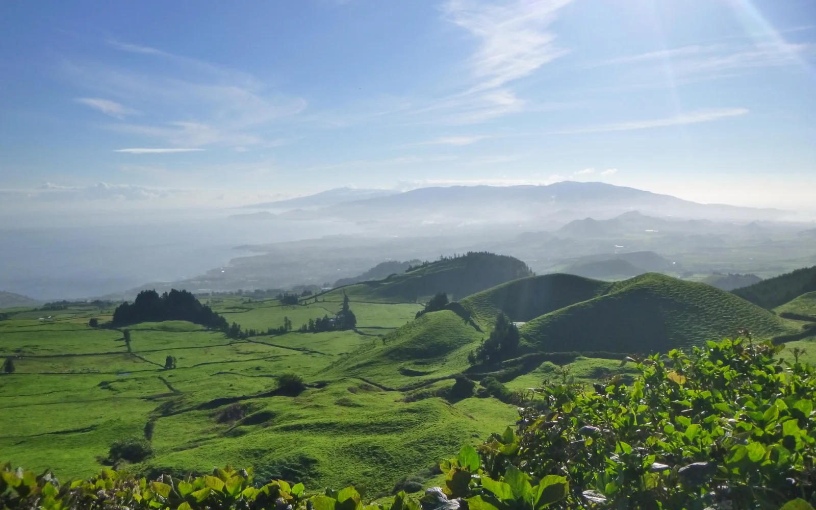 São Miguel trägt nicht umsonst den Beinahmen „Ilha Verde“ - die grüne Insel