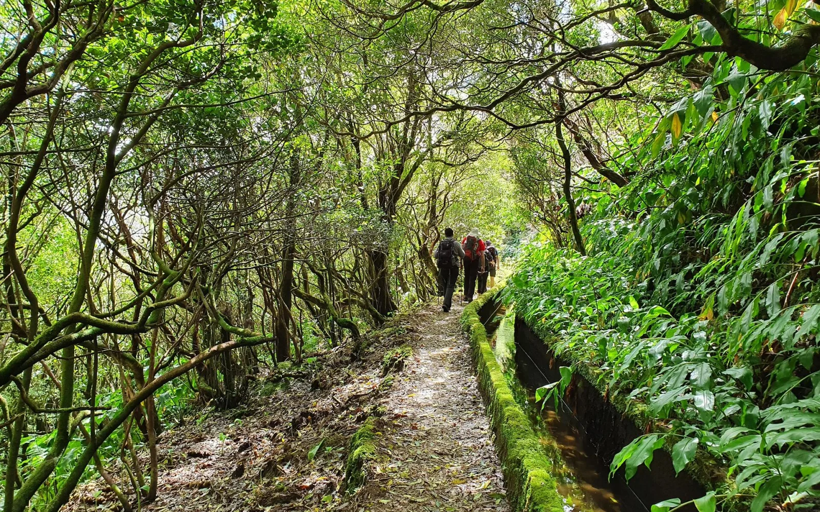 Wandern entlang alter Wasserwege