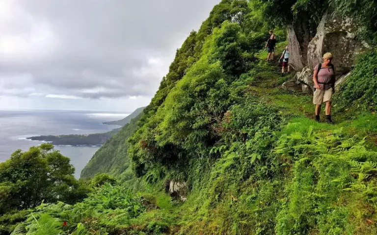 Wanderung durch die „hängenden Gärten“ zur Fajã de Além