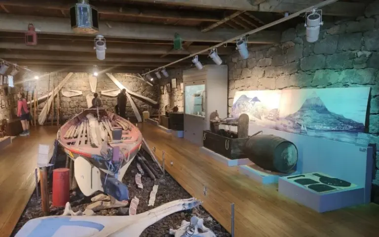 Optionale Walbeobachtungstour und Besuch des Walfangmuseums