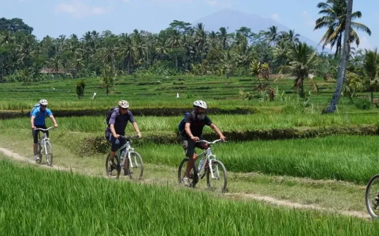 Radtour zwischen Reisfeldern bei Ubud und Besuch des Tanztheaters
