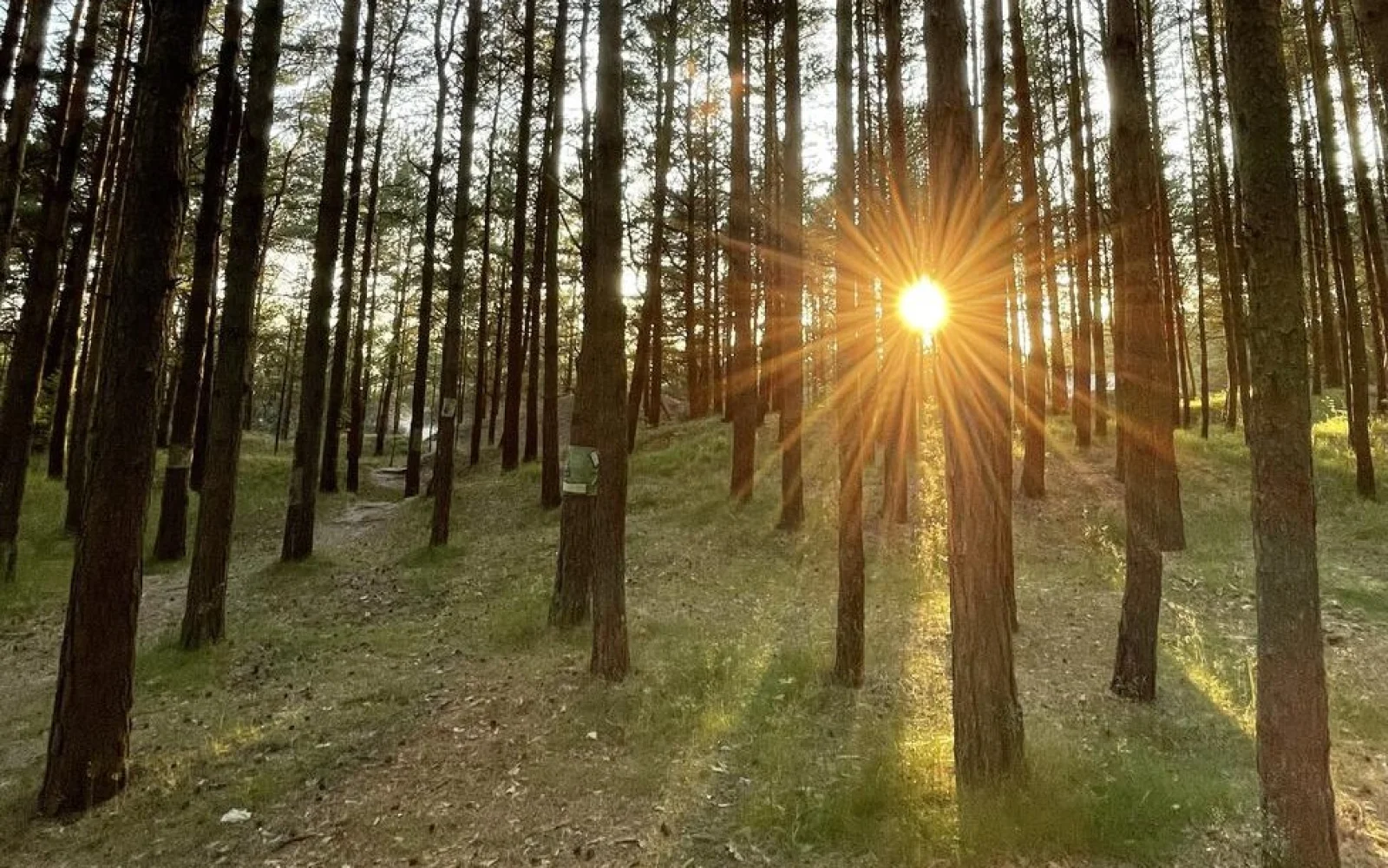 Im Juni taucht die Sonne noch nach 22 Uhr die Küste in goldenes Licht