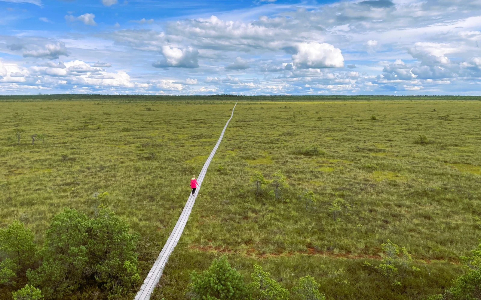 Marimetsa Moor
