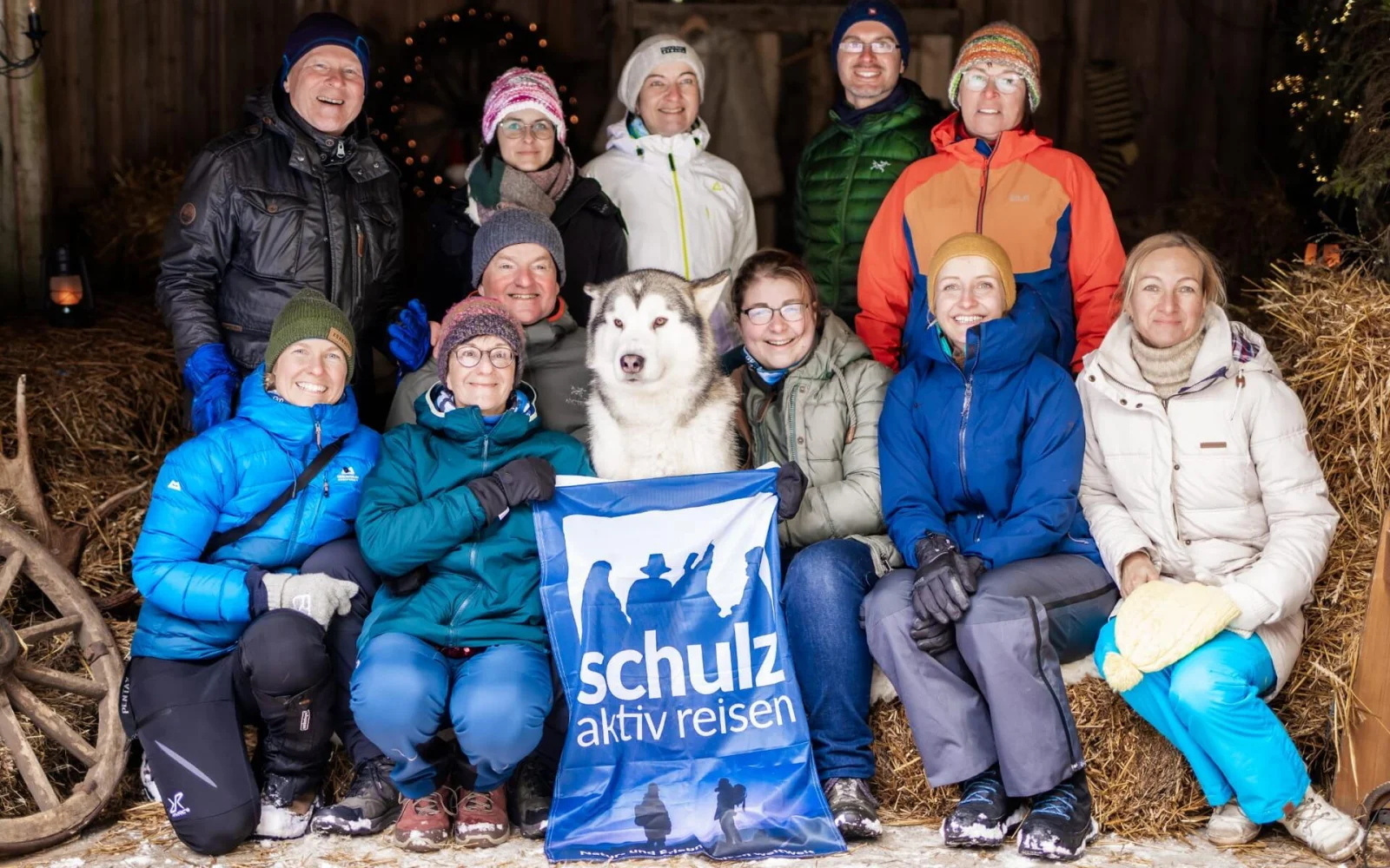 Ein stolzer Malamut - Sie besuchen die Tiere und können diese ausgiebig streicheln, wenn Sie mögen. Die Malamuts lieben es!