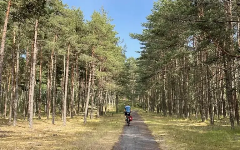 Radtour auf der Kurischen Nehrung nach Nida mit optionaler Segeltour