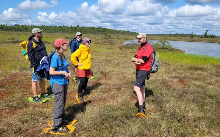 Hochmoorwanderung, Kurstadt Haapsalu und Überfahrt auf Hiiumaa
