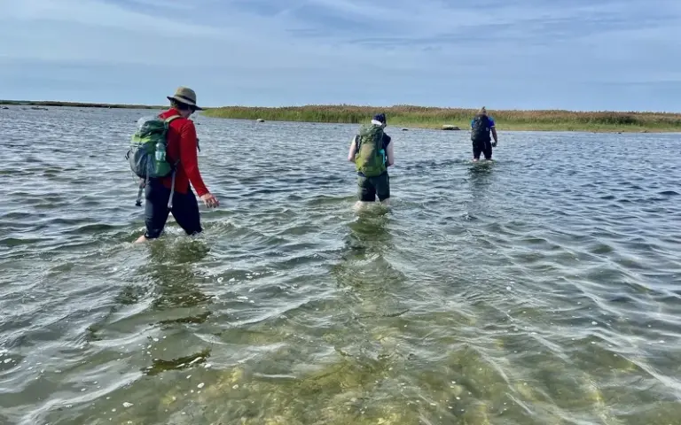  Insel Saaremaa: Wattwanderung zur Nationalpark-Insel Vilsandi