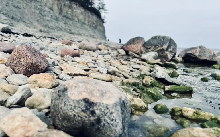 Insel Saaremaa mit Steilküste, Krater, Bischofsburg und Bierverkostung
