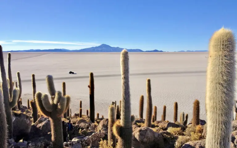 Blick von der Kakteeninsel Incahuasi auf den Salar de Uyuni (Salzsee)