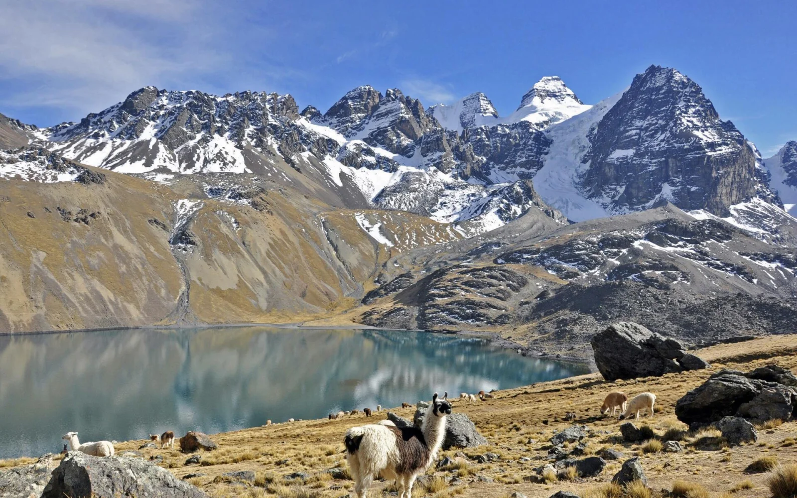 Der Gipfelumramte Bergsee Chiar Khota (4650 m) in der Königskordillere