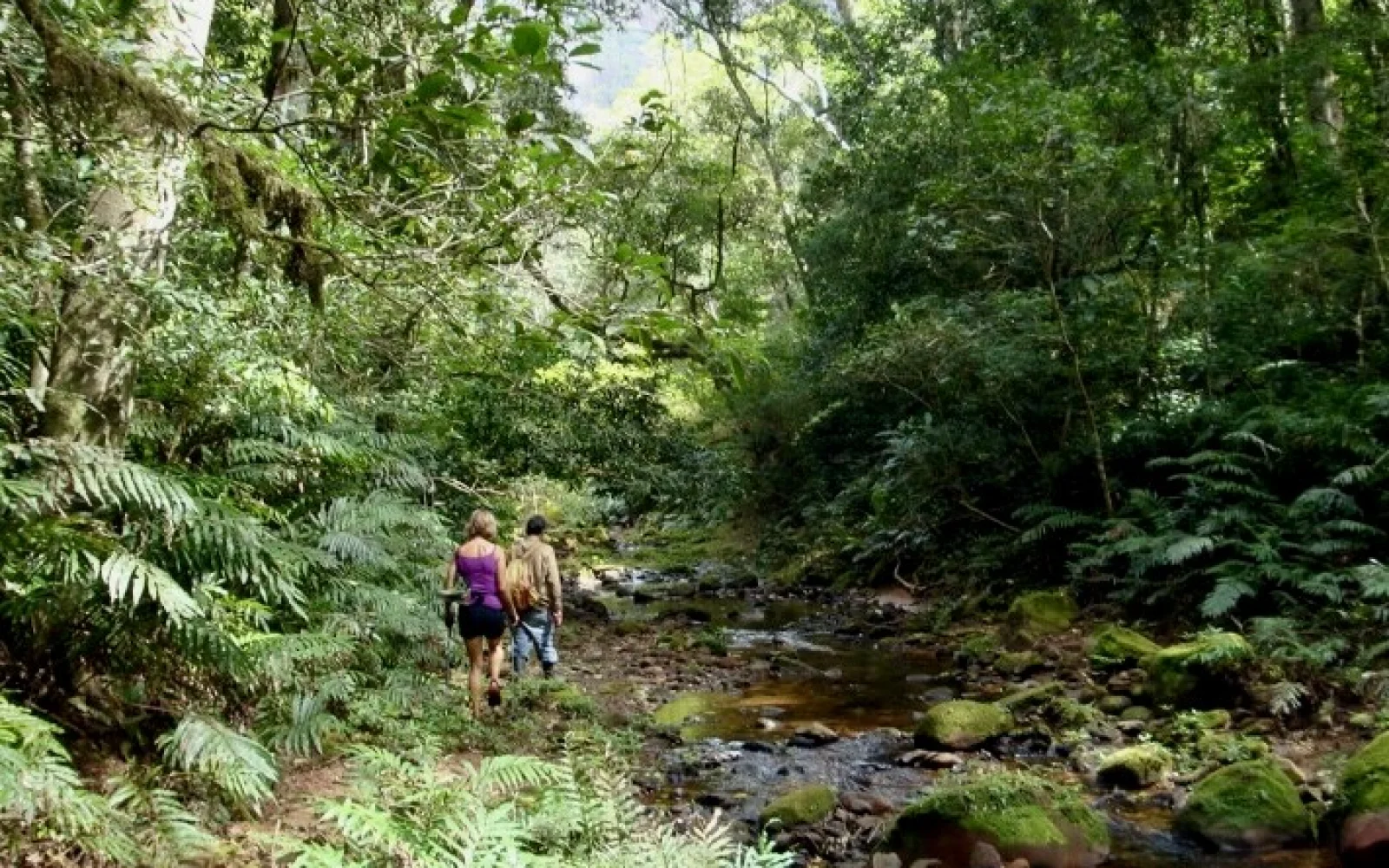 Flusswanderung im Amboro Nationalpark im tropischen Tiefland Boliviens