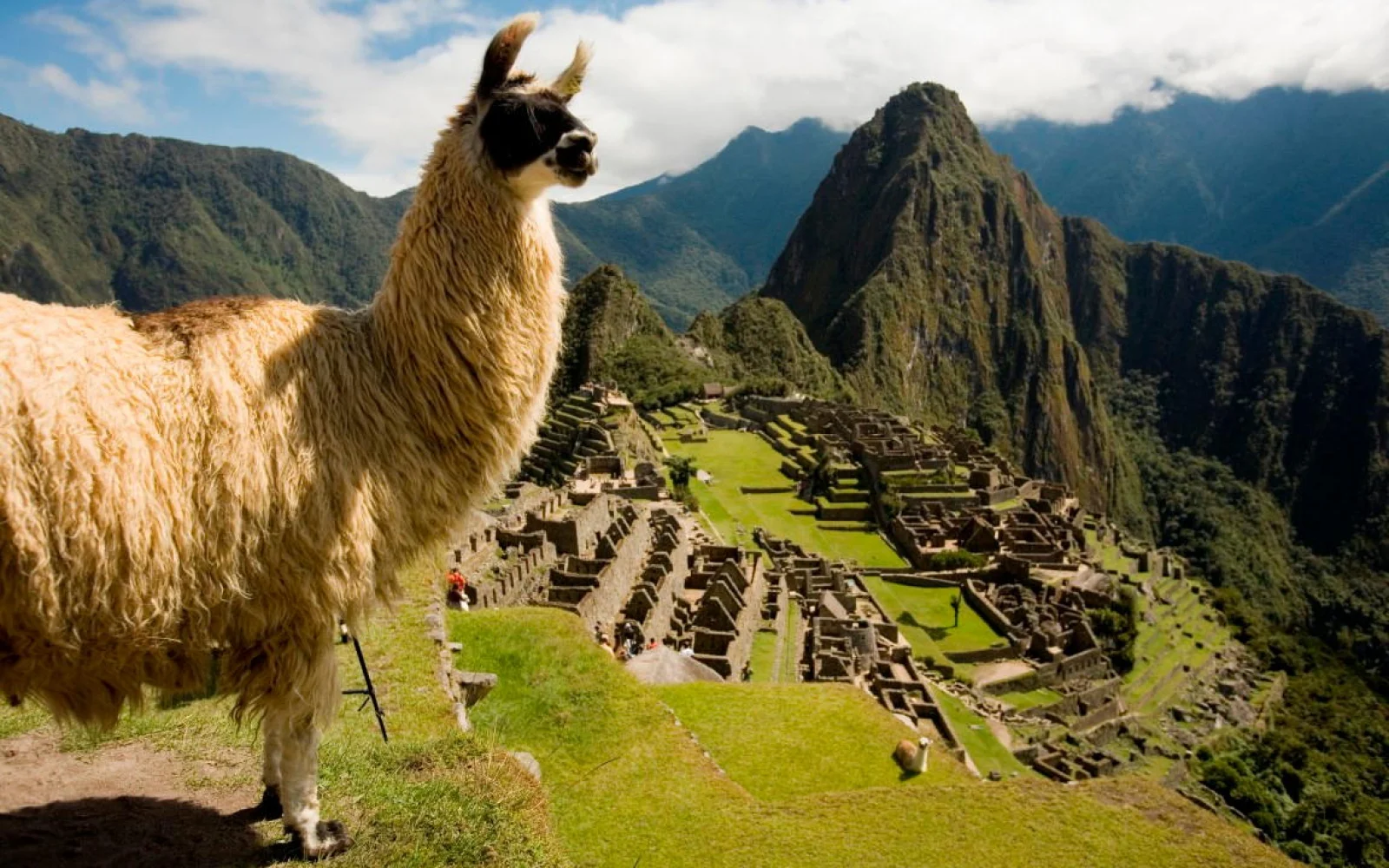 Wunderwelt Machu Picchu, der Höhepunkt Ihrer unvergesslichen Andenreise