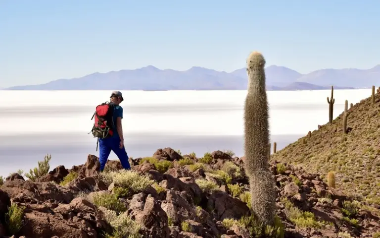 Canyon-Wanderung und Erkundung des Salzsees von Uyuni mit Wanderung über die Kakteeninsel